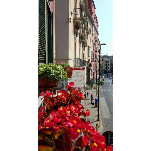A Casa di Mamma