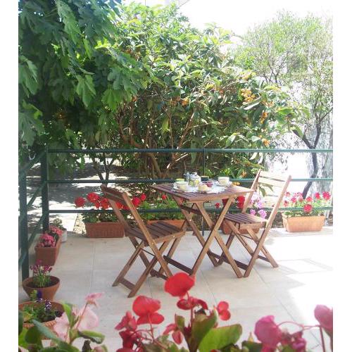 A casa di Nonna Rosa