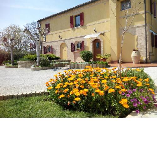 A Casa Di Pici
