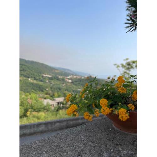 A casa di Zia Maria