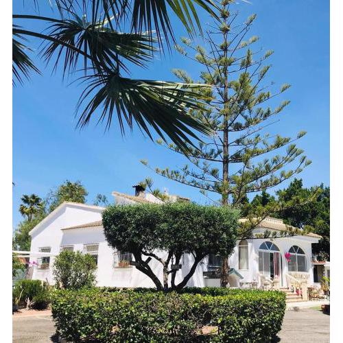 A Casa Mimosa