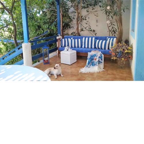 A Cretan house in a garden,overlooking the sea.