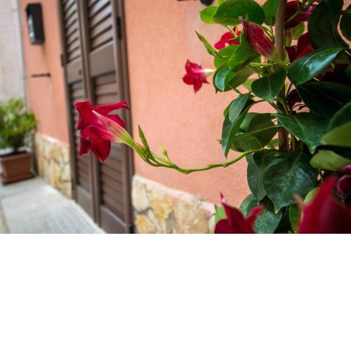 'A Cumerdia - Casa Vacanze