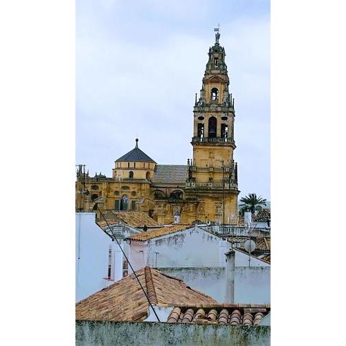 A Escasos Metros De La Mezquita