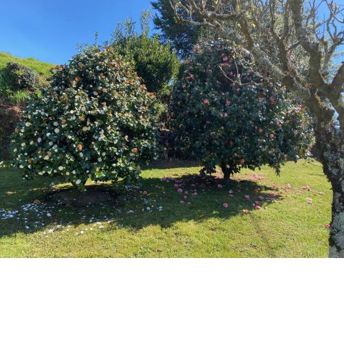 A FINCA DO RIO VELLO