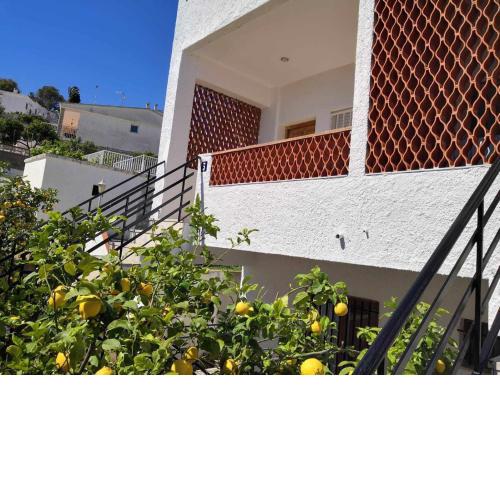 A H RENTALS Casa Rovira apto 3