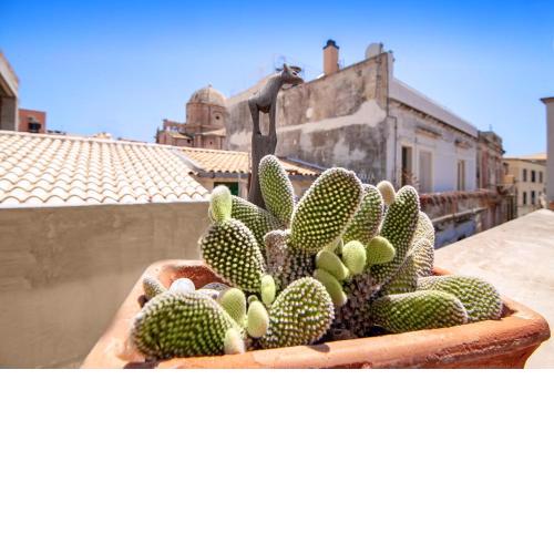 A Naca - Apartment Ortigia Wifi Without kitchen