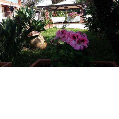 A Real Oasis In The City,