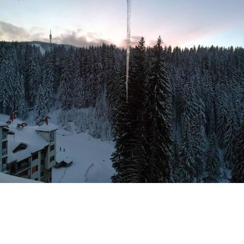 A43a Green Life Pamporovo