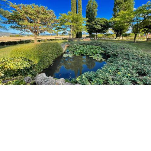 Ab Fab villa with pool, huge grounds, mediation park, child activity park - exc