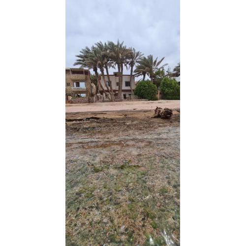 Abeed House Dahab