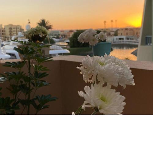 Abu tig marina