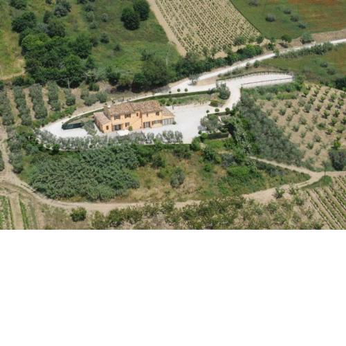 Acquarello