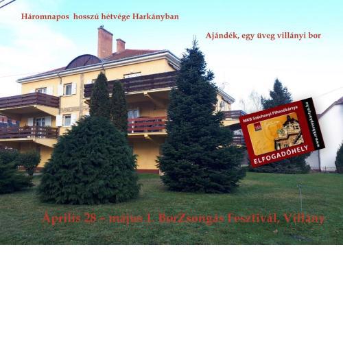 Activity Apartman