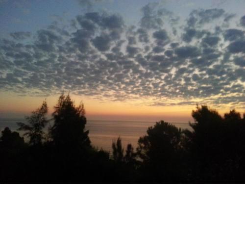 Addaura Paradise