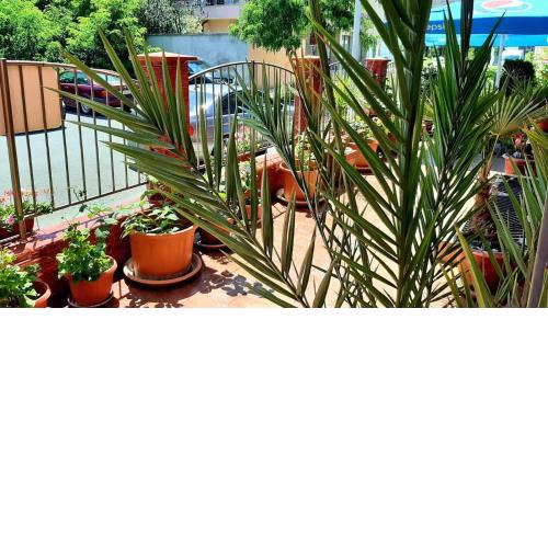 Adri Guest House