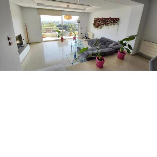 Adromeda Aegean Sea View villa