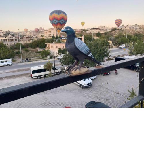 Adventure Inn Cappadocia