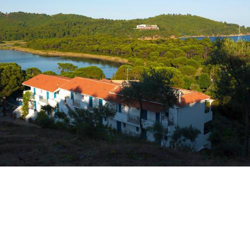 Aelia Studios