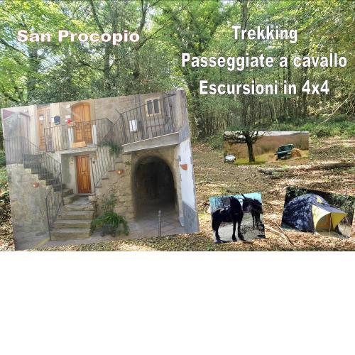 affitta camere San Procopio