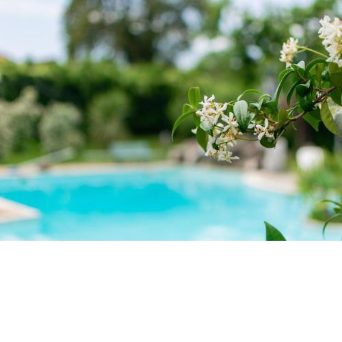 Affittacamere in Irpinia - Villa Arpe