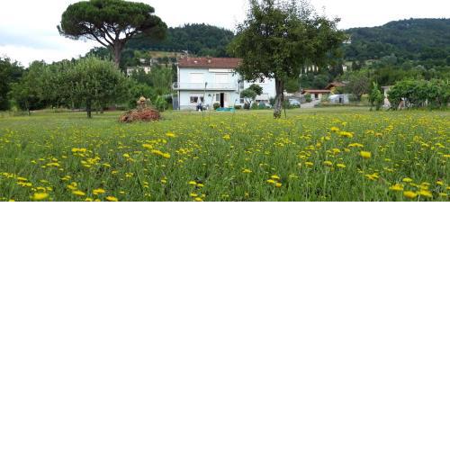 Affittacamere La Foresta di Sopra