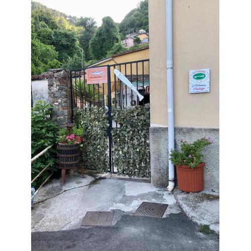 Affittacamere l'Acciuga