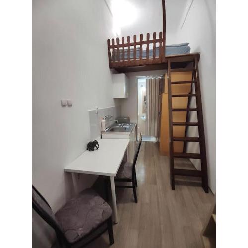 Affordable mini studio at green Citypark
