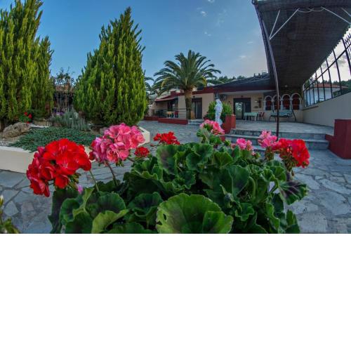 Afroditis House