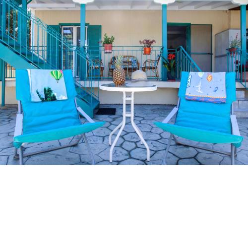 Agapanthus house