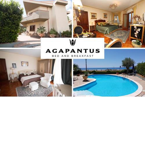 Agapantus Bed & Breakfast