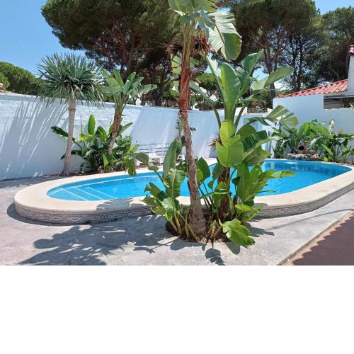 Agave lujo y relax en la playa