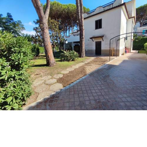 Agavi's Home 1