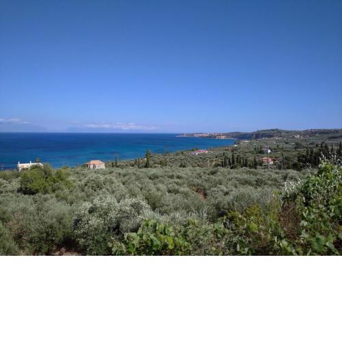 Aggeliki House 3