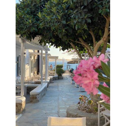 Agia Anna on the beach