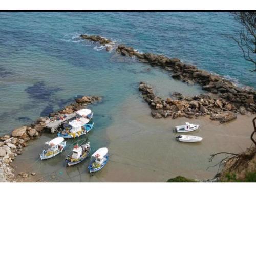 Agia Sana house Gardenos