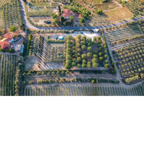 AGRICAMPING POGGIO AI PINI