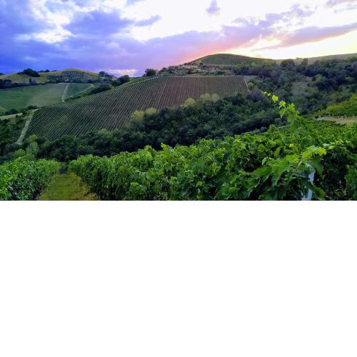 Agricola Lanciani