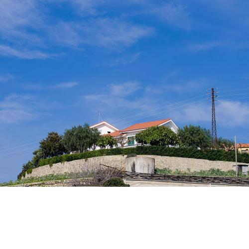 Agrilea