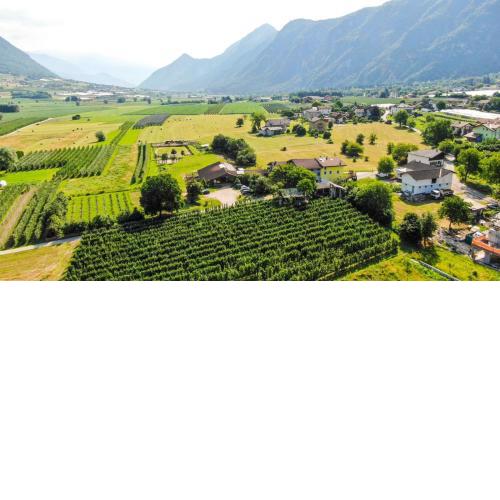 Agritur Airone Bed & Camping