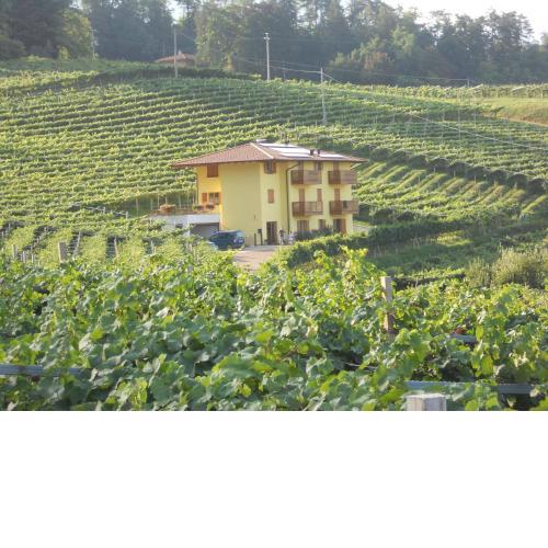 Agritur al Vigneto
