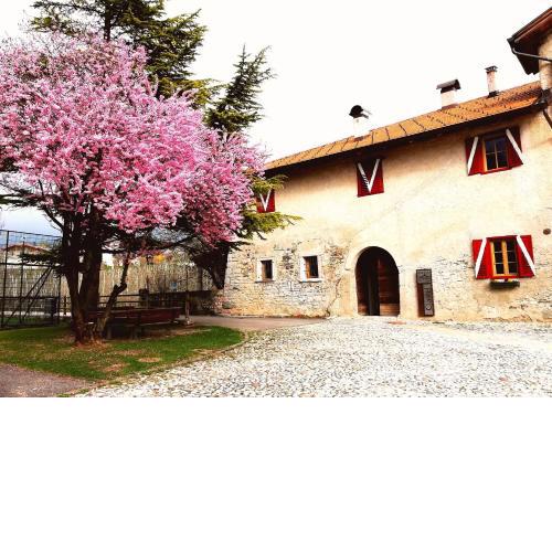 Agritur Ciastel