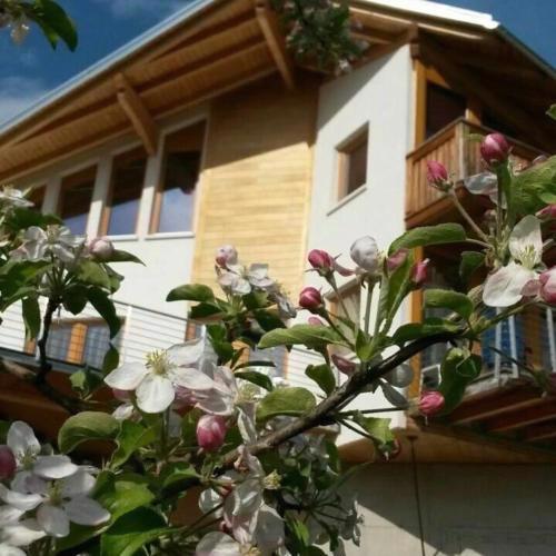 Agritur Fiore