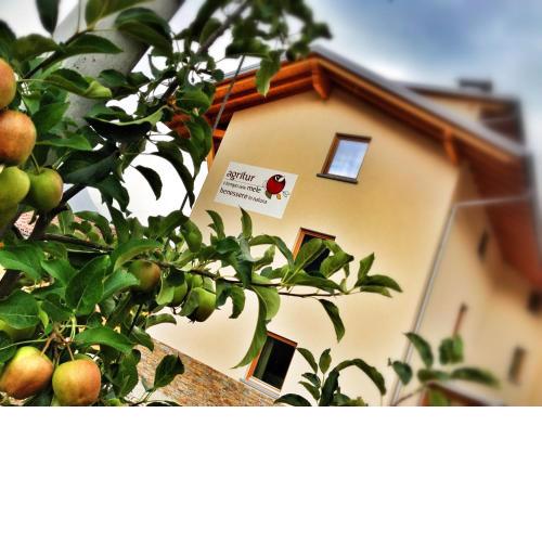 Agritur Il Tempo delle Mele