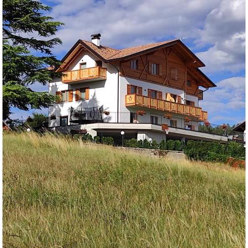 Agritur Rizzi di Inama Ugo