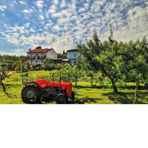Agriturismo 30