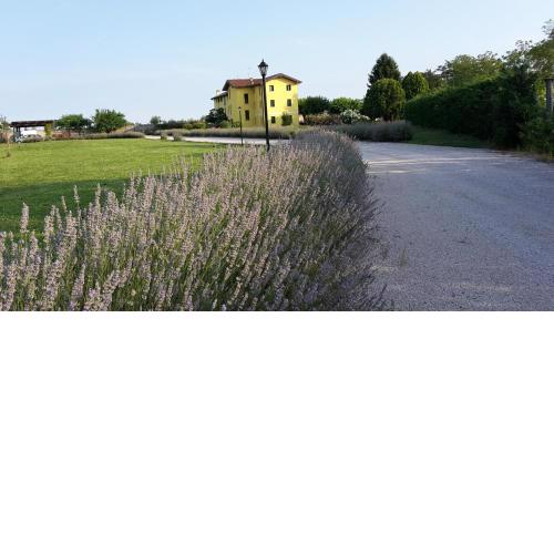 Agriturismo ai Casali