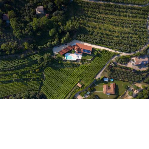 Agriturismo Ai Dossi