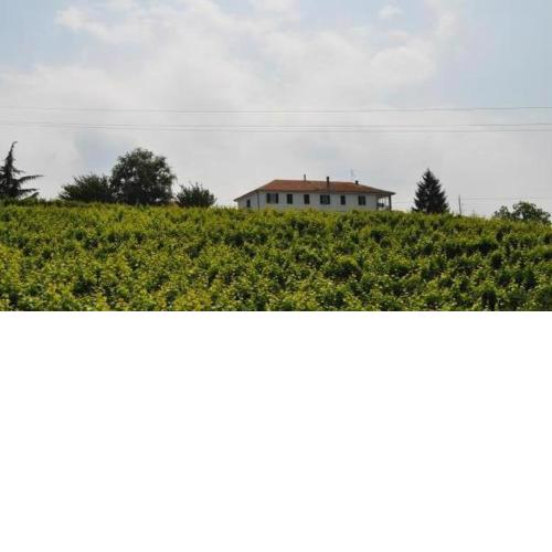 Agriturismo Ai Piacentini