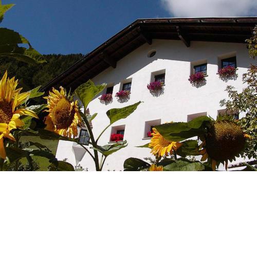 Agriturismo Apartments Tuene
